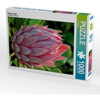 CALVENDO Puzzle Protea, Maui 1000 Teile Lege-Größe 64x48cm Foto-Puzzle für glückliche Stunden von Calvendo Puzzle