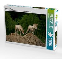 Przewalski-Fohlen (Puzzle) von Calvendo Puzzle