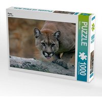 Puma (Puzzle) von Calvendo Puzzle