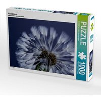 Pusteblume (Puzzle) von Calvendo Puzzle