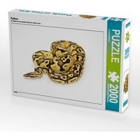 Python (Puzzle) von Calvendo Puzzle