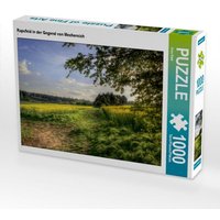 Rapsfeld in der Gegend von Mechernich (Puzzle) von Calvendo Puzzle