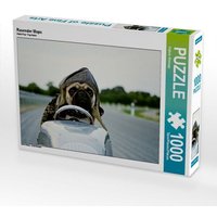 Rasender Mops (Puzzle) von Calvendo Puzzle