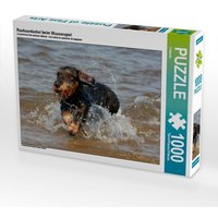 Rauhaardackel beim Wasserspiel (Puzzle) von Calvendo Puzzle