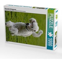 Rennender Königspudel (Puzzle) von Calvendo Puzzle