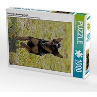 Rennender Mischlingshund (Puzzle) von Calvendo Puzzle