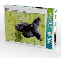 Rennender Pudel (Puzzle) von Calvendo Puzzle