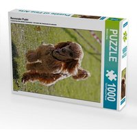 Rennender Pudel (Puzzle) von Calvendo Puzzle