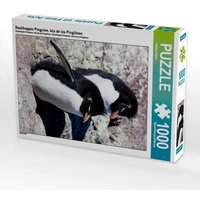Rockhopper Pinguine, Isla de los Pingüinos (Puzzle) von Calvendo Puzzle
