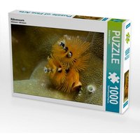 Röhrenwurm (Puzzle) von Calvendo Puzzle