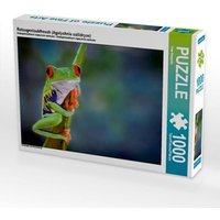 Rotaugenlaubfrosch (Agalychnis callidryas) (Puzzle) von Calvendo Puzzle