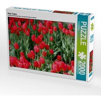 Rote Tulpen (Puzzle) von Calvendo Puzzle