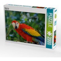 Roter Ara (Puzzle) von Calvendo Puzzle