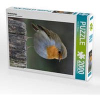 Rotkehlchen (Puzzle) von Calvendo