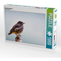 Rotschwänzchen (Puzzle) von Calvendo Puzzle
