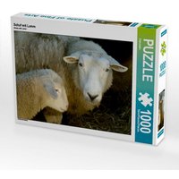 Schaf mit Lamm (Puzzle) von Calvendo Puzzle