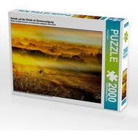 CALVENDO Puzzle Schafe auf der Weide im Sonnenaufgang 2000 Teile Lege-Größe 90x67cm Foto-Puzzle für glückliche Stunden von Calvendo Puzzle