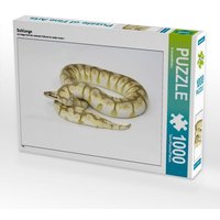 Schlange (Puzzle) von CALVENDO Verlag GmbH