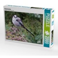 Schwanzmeise (Puzzle) von Calvendo
