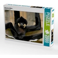 Schwarzer Gibbon (Puzzle) von Calvendo Puzzle