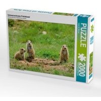 Schwarzschwanz Präriehund (Puzzle) von Calvendo