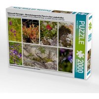Sehnsucht Norwegen - Abwechslungsreiche Flora in allen Landschaften (Puzzle) von Calvendo Puzzle