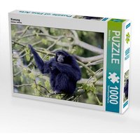 Siamang (Puzzle) von Calvendo Puzzle