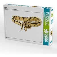 Snake (Puzzle) von Calvendo Puzzle