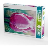 Spring broken (Puzzle) von Calvendo Puzzle