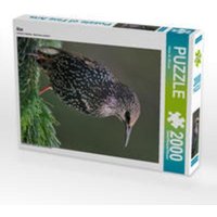 Star (Puzzle) von Calvendo