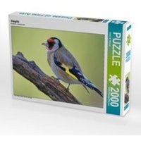 Stieglitz (Puzzle) von Calvendo