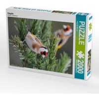 Stieglitz (Puzzle) von Calvendo