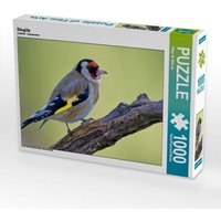 Stieglitz (Puzzle) von Calvendo Puzzle