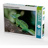 Stirnlappenbasilisk (Basiliscus plumifrons) (Puzzle) von Calvendo Puzzle