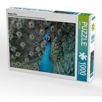 Stolzer Pfau (Puzzle) von Calvendo Puzzle