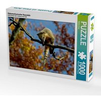 Südamerikanischer Nasenbär (Puzzle) von Calvendo Puzzle