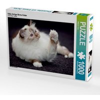 Süße Heilige Birma Katze (Puzzle) von Calvendo Puzzle