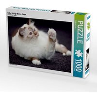 Süße Heilige Birma Katze (Puzzle) von Calvendo Puzzle