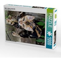 Suki - kleine Leopardin (Puzzle) von Calvendo Puzzle