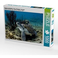 Suppenschildkröte - Playa Piskado - Curaçao (Puzzle) von Calvendo Puzzle