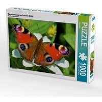 Tagpfauenauge auf weißer Blüte (Puzzle) von Calvendo Puzzle