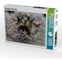 Tautropfen im Löwenzahn (Puzzle) von Calvendo Puzzle