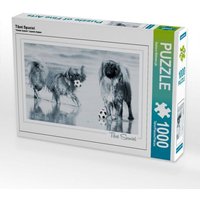 Tibet Spaniel (Puzzle) von Calvendo Puzzle