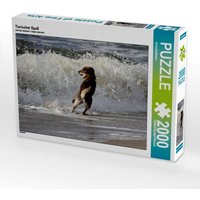 Tierischer Spaß (Puzzle) von Calvendo Puzzle