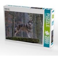 Timberwolf (Puzzle) von Calvendo
