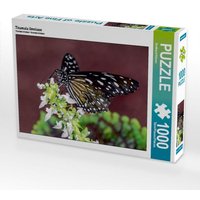 Tirumala limniace (Puzzle) von Calvendo Puzzle