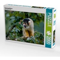 Totenkopfäffchen (Puzzle) von Calvendo Puzzle