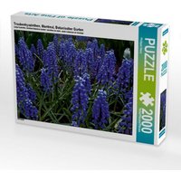 Traubenhyazinthen. Montreal, Botanischer Garten (Puzzle) von Calvendo Puzzle