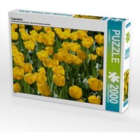 Tulpenbeet (Puzzle) von Calvendo Puzzle