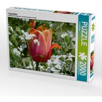 Tulpenblüte (Puzzle) von Calvendo Puzzle
